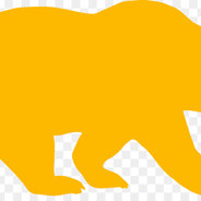 bearyellow