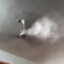 Fentanyl ceiling fan