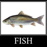 Аватар Fish