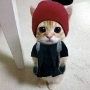 AAA瑞克批发礼堂丁真