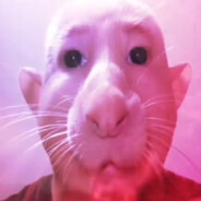 Albert avatar