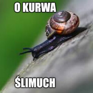 kurwa ślimak