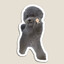 CPP de Kiwi_chanVT