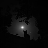 kniga - steam id 76561199163918761