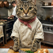 Chefkotz