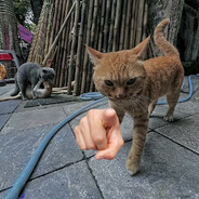 冻手封印七成实力