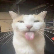 KyXFeL