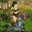 Gaia