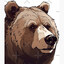 BEAR-