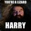 You&#039;re a lizard Harry!