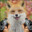 Fox with two guns