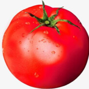 Tomato