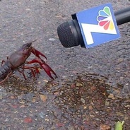 Mr.Crayfish