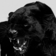 Майор Чернобаев