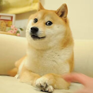 躲在隔壁之宝相庄严接