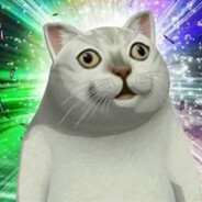 奇怪的顿悟猫又增加了