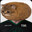 Kiwimikitty