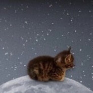 avatar ♡˚Mai˚♡