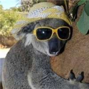 新疆马蹄达拉baby