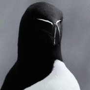 hndrxx