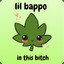 Bappo