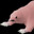 WET MOLE