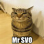 MR_SVO