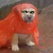 我是新手请善待