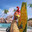 chicken joe