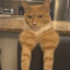 Mogger