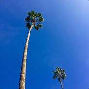 咕噜真的在发疯