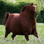 Horse♪