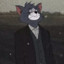 泺