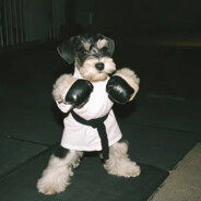 雪瑞纳发起挑战