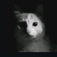 Left4Lune's avatar