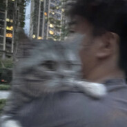 知道你很急，请你先别