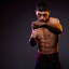 bivol