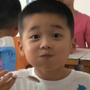 文静肘子