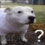 333