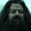 Hagrid