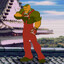the mario