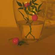 一生只爱一个人丨白