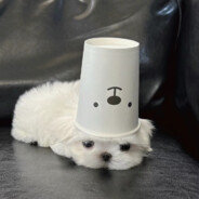 有没有好好睡觉