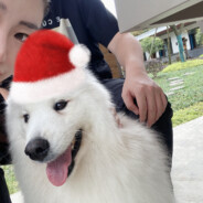 二狗子的女朋友