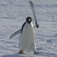 CatLov3r