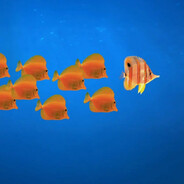 Pizzabagel OF AWESOMENESS!!!!!