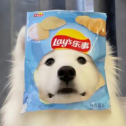 可惜那日桃花灼灼