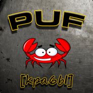 puf - steam id 76561197961198775