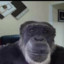 MONKEYYY