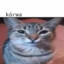 Kot &quot;kórwa&quot; Miau